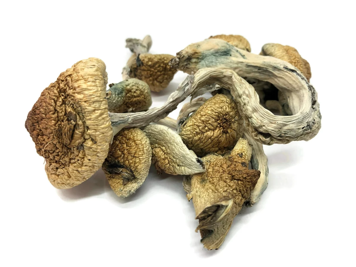 Psilocybin (magic mushrooms)