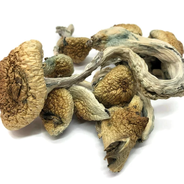 Psilocybin (magic mushrooms)
